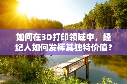 如何在3D打印领域中，经纪人如何发挥其独特价值？