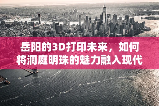 岳阳的3D打印未来，如何将洞庭明珠的魅力融入现代制造技术？