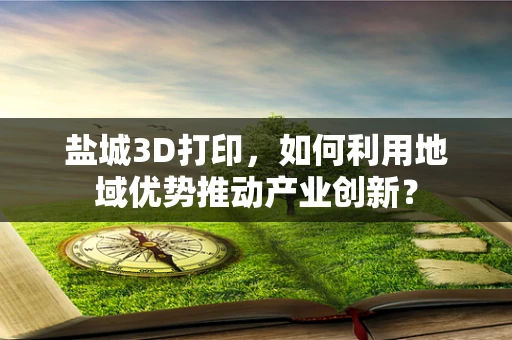盐城3D打印，如何利用地域优势推动产业创新？