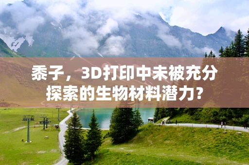 黍子，3D打印中未被充分探索的生物材料潜力？