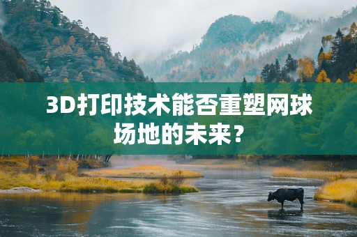 3D打印技术能否重塑网球场地的未来？