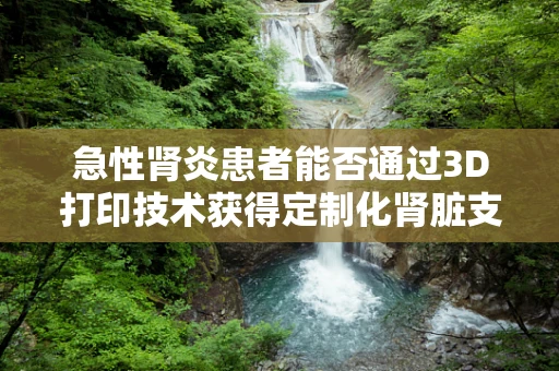 急性肾炎患者能否通过3D打印技术获得定制化肾脏支持装置？