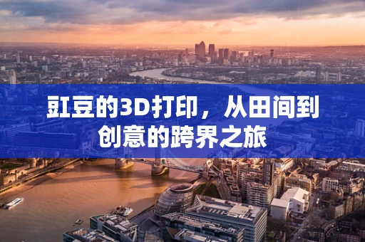 豇豆的3D打印，从田间到创意的跨界之旅