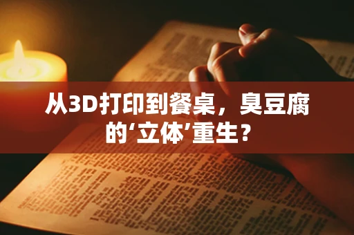 从3D打印到餐桌，臭豆腐的‘立体’重生？