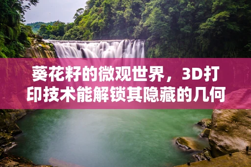 葵花籽的微观世界，3D打印技术能解锁其隐藏的几何之美吗？