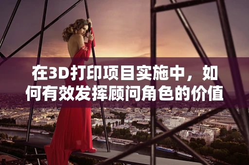 在3D打印项目实施中，如何有效发挥顾问角色的价值？