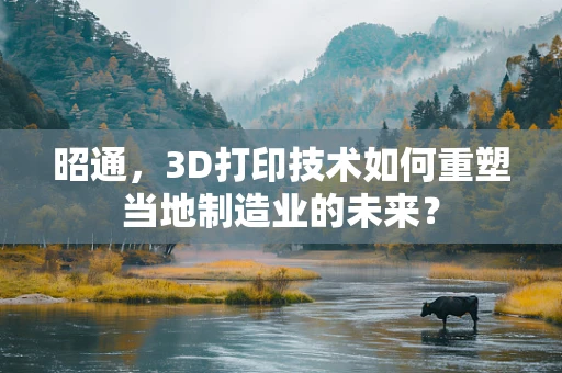 昭通，3D打印技术如何重塑当地制造业的未来？