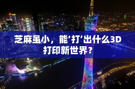 芝麻虽小，能‘打’出什么3D打印新世界？