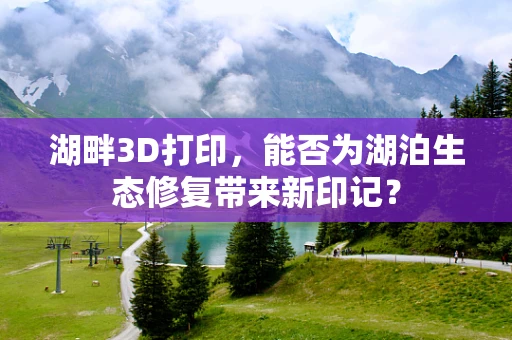 湖畔3D打印，能否为湖泊生态修复带来新印记？