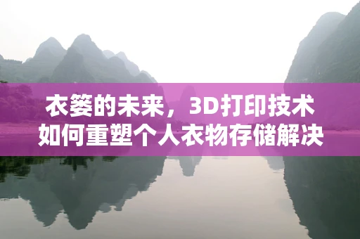 衣篓的未来，3D打印技术如何重塑个人衣物存储解决方案？