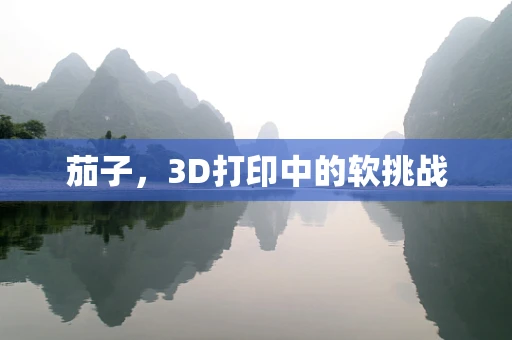 茄子，3D打印中的软挑战