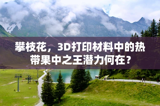 攀枝花，3D打印材料中的热带果中之王潜力何在？