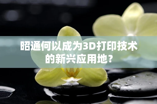 昭通何以成为3D打印技术的新兴应用地？