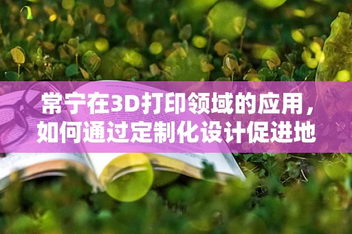 常宁在3D打印领域的应用，如何通过定制化设计促进地方制造业升级？