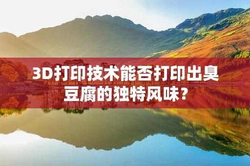 3D打印技术能否打印出臭豆腐的独特风味？