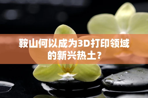 鞍山何以成为3D打印领域的新兴热土？