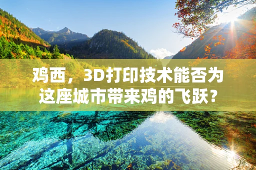 鸡西，3D打印技术能否为这座城市带来鸡的飞跃？