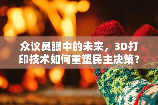 众议员眼中的未来，3D打印技术如何重塑民主决策？