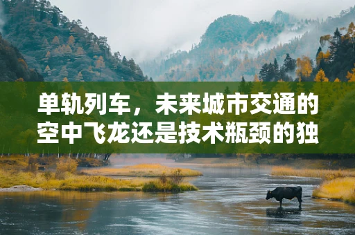 单轨列车，未来城市交通的空中飞龙还是技术瓶颈的独行侠？