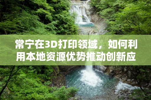 常宁在3D打印领域，如何利用本地资源优势推动创新应用？