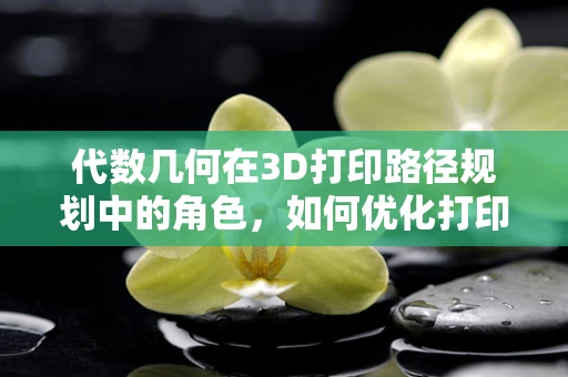代数几何在3D打印路径规划中的角色，如何优化打印效率？