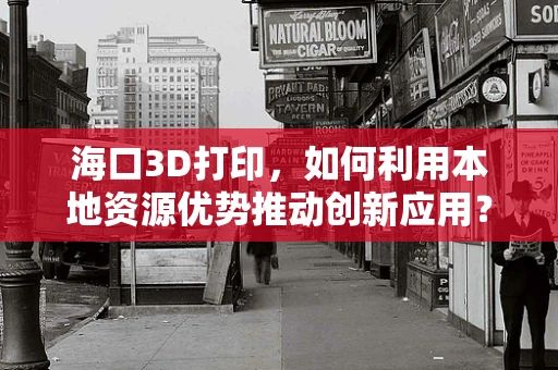 海口3D打印，如何利用本地资源优势推动创新应用？