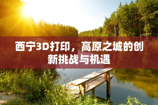 西宁3D打印，高原之城的创新挑战与机遇