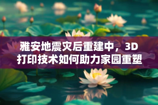 雅安地震灾后重建中，3D打印技术如何助力家园重塑？