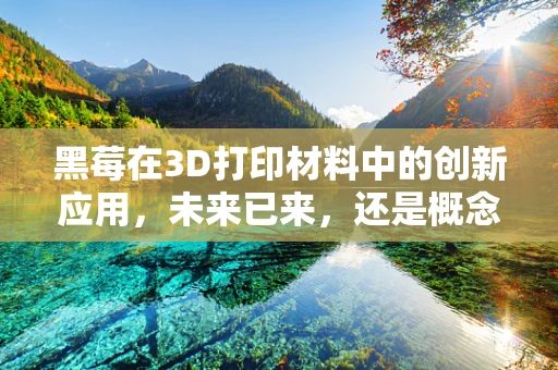 黑莓在3D打印材料中的创新应用，未来已来，还是概念先行？