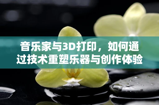 音乐家与3D打印，如何通过技术重塑乐器与创作体验？