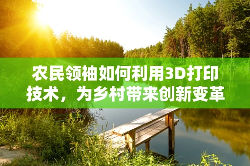 农民领袖如何利用3D打印技术，为乡村带来创新变革？