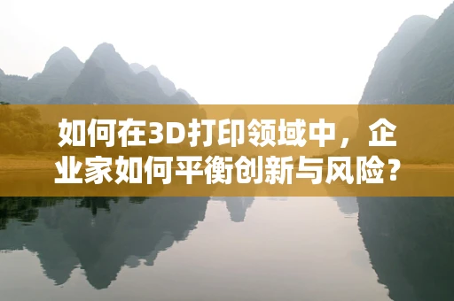 如何在3D打印领域中，企业家如何平衡创新与风险？