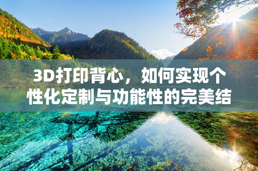 3D打印背心，如何实现个性化定制与功能性的完美结合？