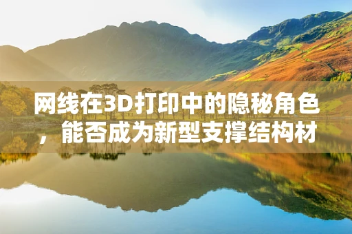 网线在3D打印中的隐秘角色，能否成为新型支撑结构材料？
