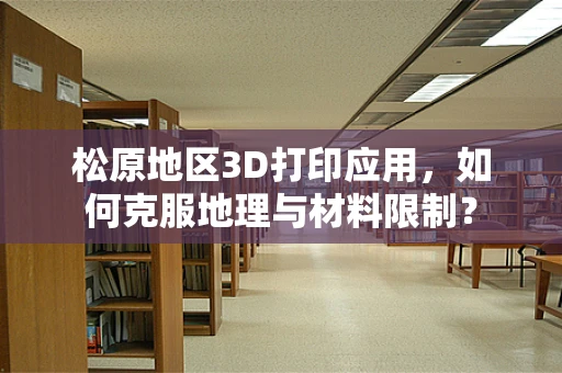 松原地区3D打印应用，如何克服地理与材料限制？