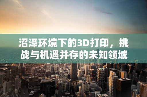 沼泽环境下的3D打印，挑战与机遇并存的未知领域