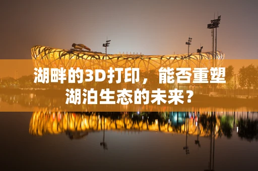 湖畔的3D打印，能否重塑湖泊生态的未来？