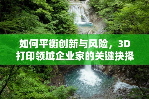 如何平衡创新与风险，3D打印领域企业家的关键抉择