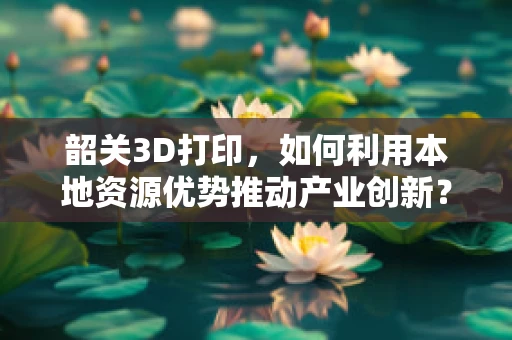 韶关3D打印，如何利用本地资源优势推动产业创新？