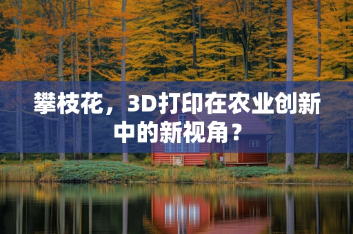攀枝花，3D打印在农业创新中的新视角？
