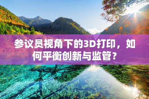 参议员视角下的3D打印，如何平衡创新与监管？