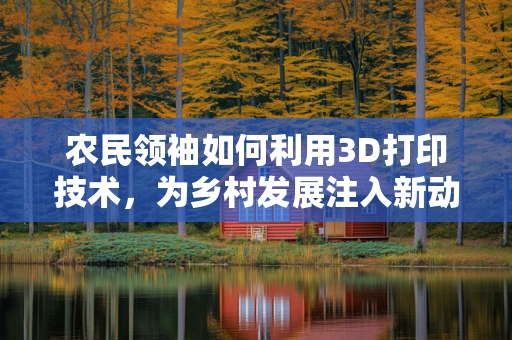 农民领袖如何利用3D打印技术，为乡村发展注入新动力？