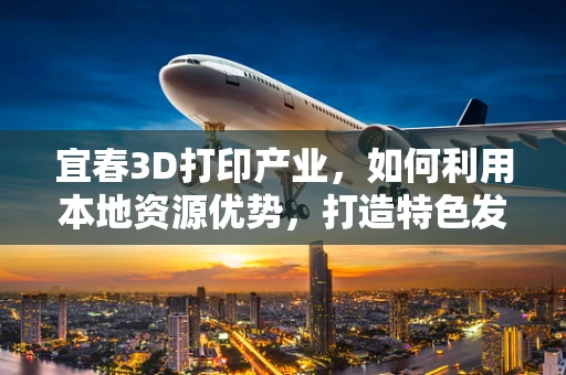 宜春3D打印产业，如何利用本地资源优势，打造特色发展路径？
