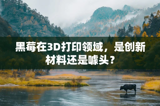 黑莓在3D打印领域，是创新材料还是噱头？