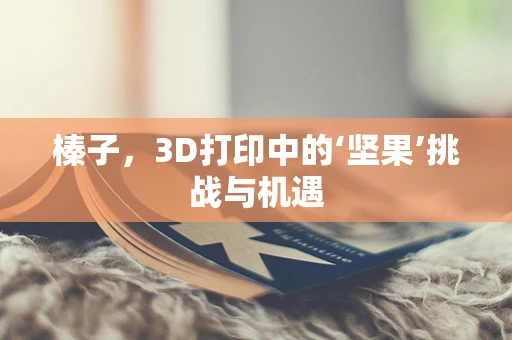 榛子，3D打印中的‘坚果’挑战与机遇