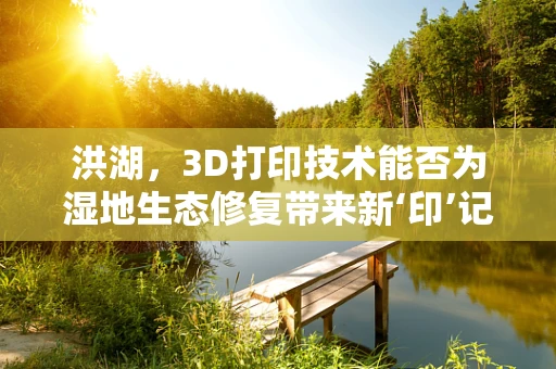 洪湖，3D打印技术能否为湿地生态修复带来新‘印’记？