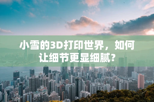 小雪的3D打印世界，如何让细节更显细腻？