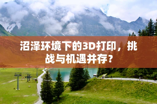 沼泽环境下的3D打印，挑战与机遇并存？