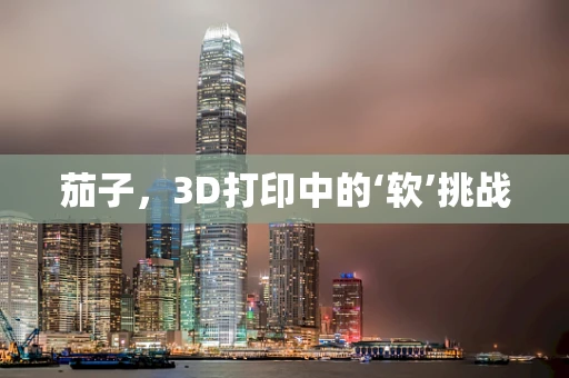 茄子，3D打印中的‘软’挑战
