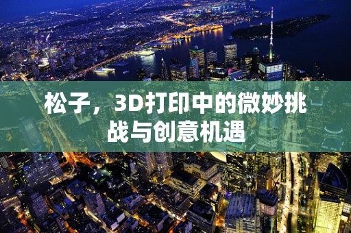 松子，3D打印中的微妙挑战与创意机遇